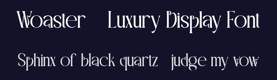 Woaster – Luxury Display Font by FlawlessAndCo — Decorative Font — thumbnail 2