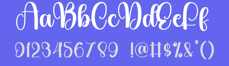 Wonder Bright Script Font by creativeletter — Script Handwritten Font — thumbnail 3