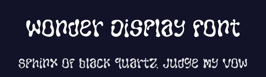 Wonder Display Font by Dantype — Display Font — thumbnail 2