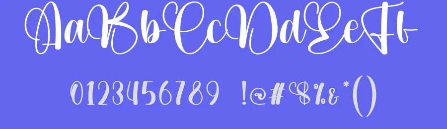 Wonder Gracefull Script Font by creativeletter — Script Handwritten Font — thumbnail 3