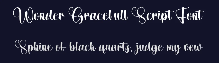 Wonder Gracefull Script Font by creativeletter — Script Handwritten Font — thumbnail 2