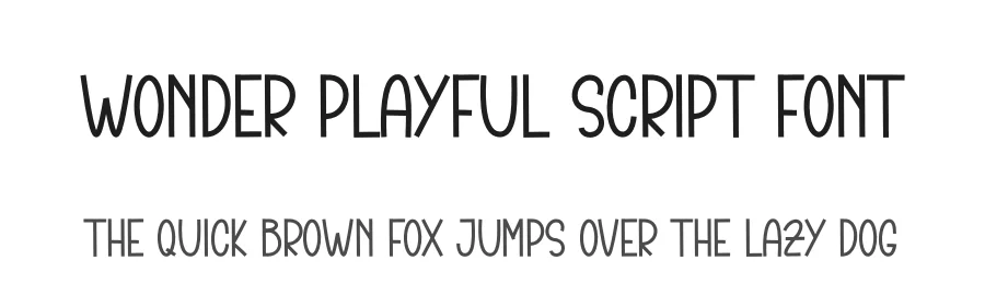 Wonder Playful Script Font by andikastudio — Display Font