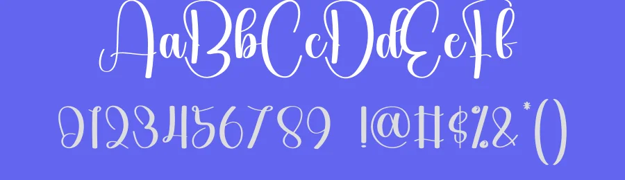 Wonderful Calligraphy Script Font by creativeletter — Script Handwritten Font — thumbnail 3
