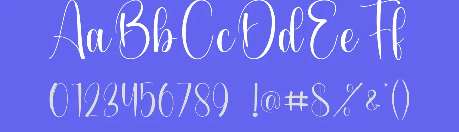 Wonderfull – New Style Handwritten Font by andikastudio — Script Handwritten Font — thumbnail 3
