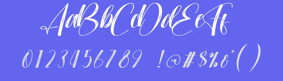 Wonderfull Script Font by creativeletter — Script Handwritten Font — thumbnail 3