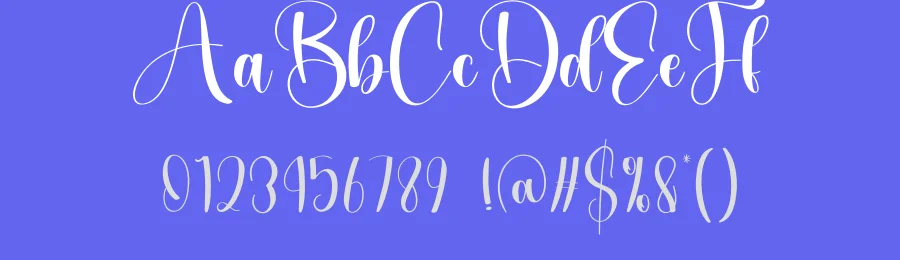 Wonderfull Script Font by andikastudio — Script Handwritten Font — thumbnail 3
