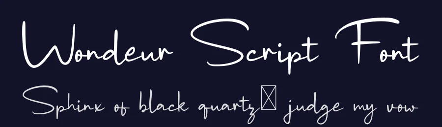 Wondeur Script Font by craftsupplyco — Script Handwritten Font — thumbnail 2