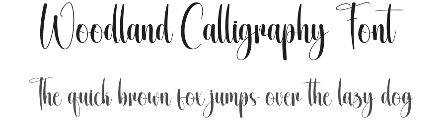 Woodland Calligraphy Font by creativeletter — Script Handwritten Font