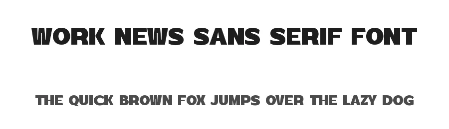 Work News Sans Serif Font by Graphicxell — Sans Serif Font