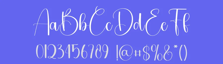 Workspace – Elegant Handwritten Font by freshtypeink — Script Handwritten Font — thumbnail 3