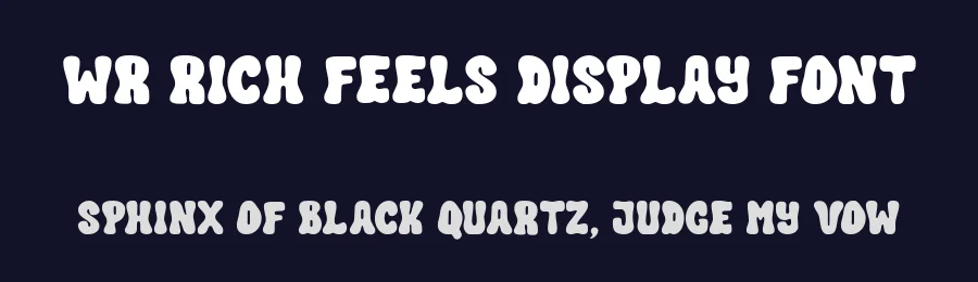 WR Rich Feels Display Font by Writype1999 — Decorative Font — thumbnail 2
