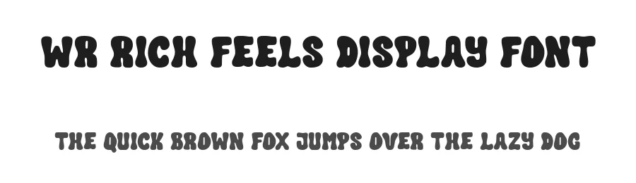 WR Rich Feels Display Font by Writype1999 — Decorative Font