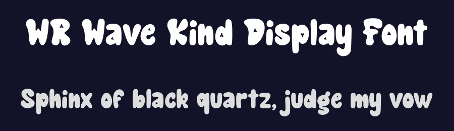 WR Wave Kind Display Font by Writype1999 — Decorative Font — thumbnail 2