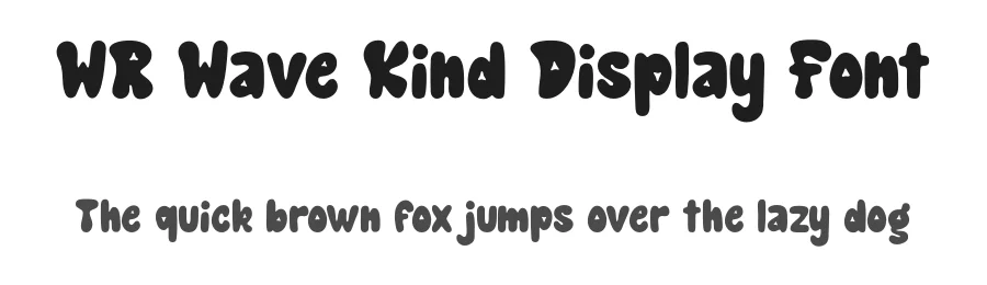 WR Wave Kind Display Font by Writype1999 — Decorative Font