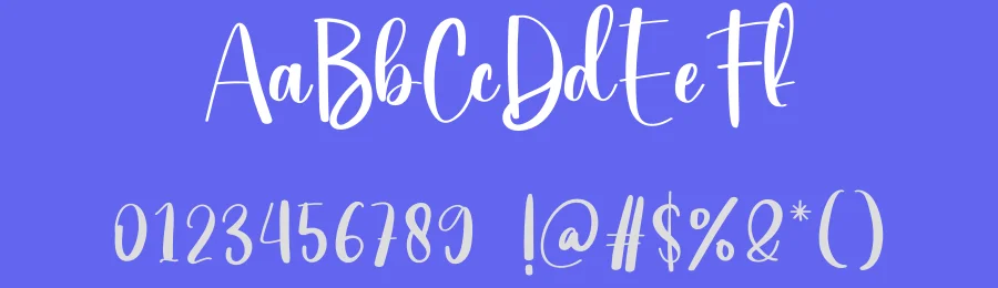 Write Script Font by creativeletter — Script Handwritten Font — thumbnail 3