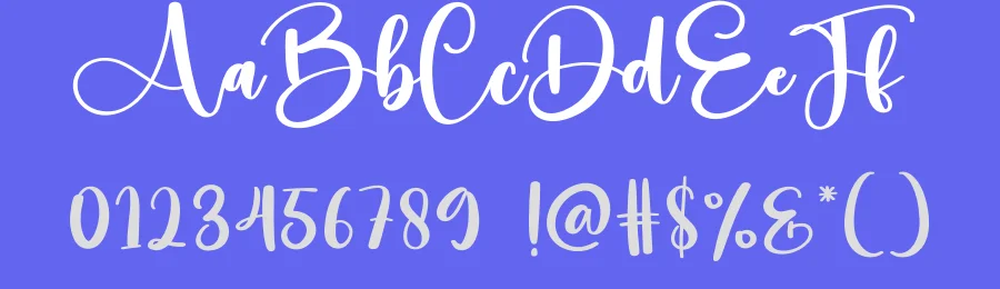 Written Script Font by creativeletter — Script Handwritten Font — thumbnail 3