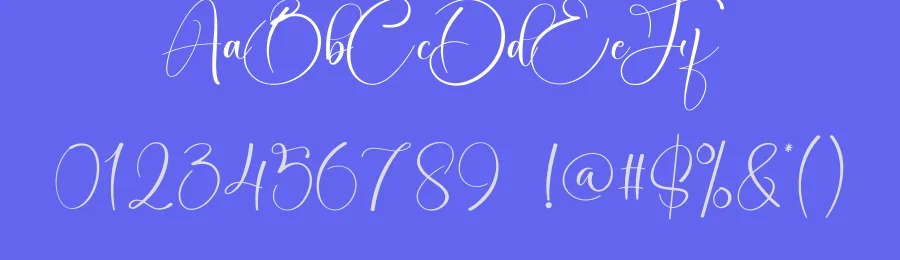 Writting – Modern Handwritten Font by creativeletter — Script Handwritten Font — thumbnail 3