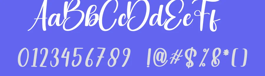 Wrongler Calligraphy Font by creativeletter — Script Handwritten Font — thumbnail 3