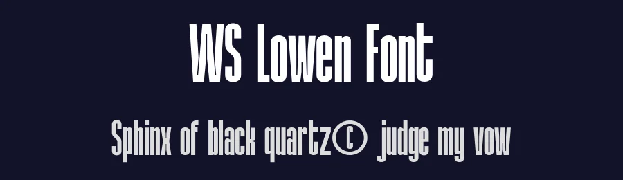 WS Lowen Font by Wasabib Type Foundry — Sans Serif Font — thumbnail 2