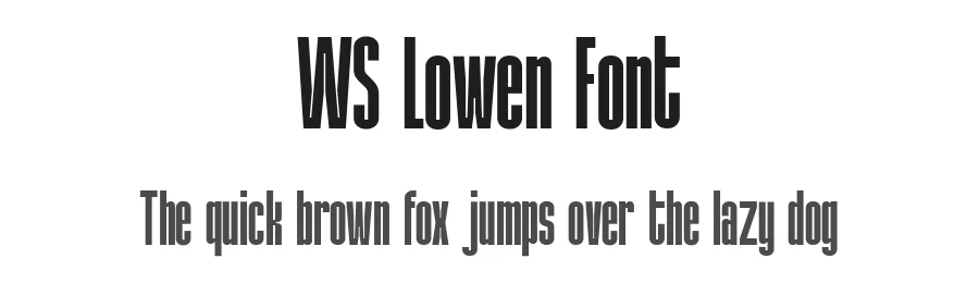 WS Lowen Font by Wasabib Type Foundry — Sans Serif Font