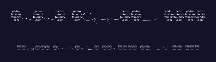 Xanas Wedding Font by vectalex — Script Handwritten Font — thumbnail 2