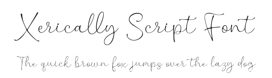 Xerically Script Font by Ali Hamidi — Script Handwritten Font