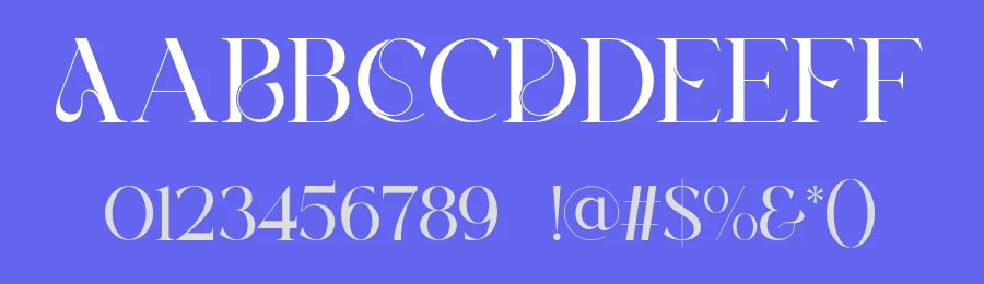 Xerina Font by SlideShoot — Serif Font — thumbnail 3
