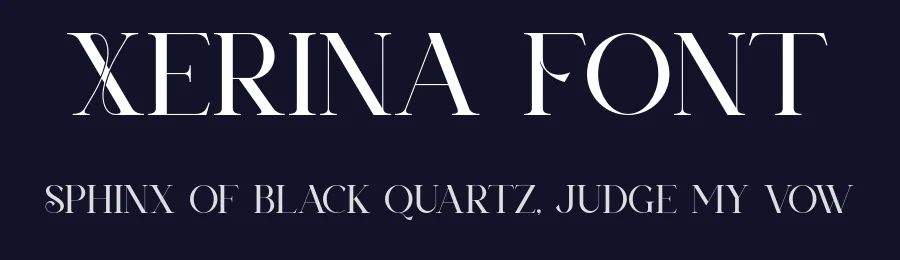 Xerina Font by SlideShoot — Serif Font — thumbnail 2