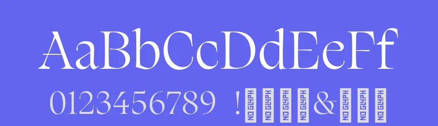 Xilene Font by Piotr Łapa — Serif Font — thumbnail 3
