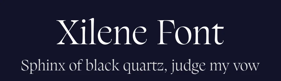 Xilene Font by Piotr Łapa — Serif Font — thumbnail 2