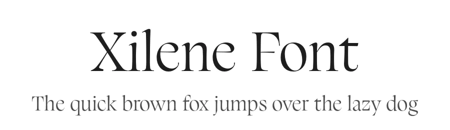 Xilene Font by Piotr Łapa — Serif Font