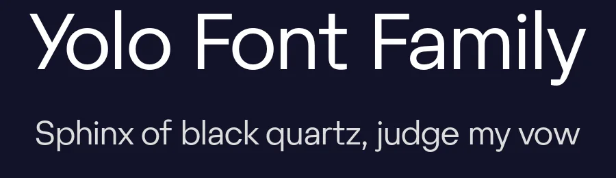 Yolo Font Family by Suitcase Type Foundry — Sans Serif Font — thumbnail 2