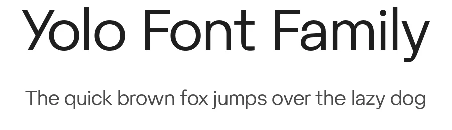 Yolo Font Family by Suitcase Type Foundry — Sans Serif Font