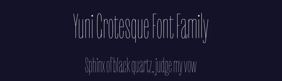 Yuni Grotesque Font Family by Philipp Neumeyer — Sans Serif Font — thumbnail 2