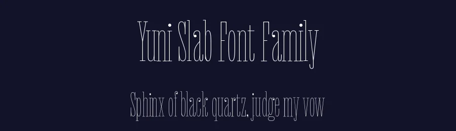 Yuni Slab Font Family by Philipp Neumeyer — Slab Serif Font — thumbnail 2