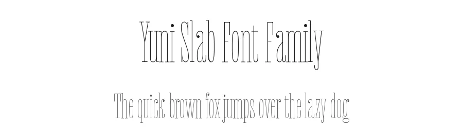 Yuni Slab Font Family by Philipp Neumeyer — Slab Serif Font