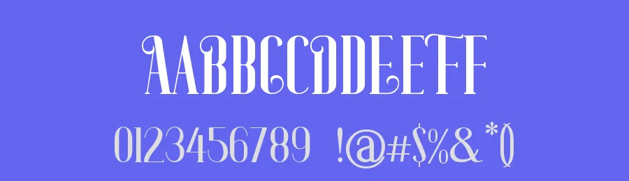 Zanie Brovia Font by UICreative — Serif Font — thumbnail 3