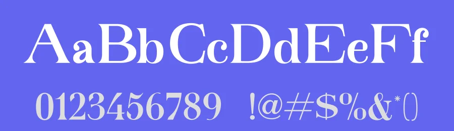 Zenseo Font by Basnistudio — Serif Font — thumbnail 3