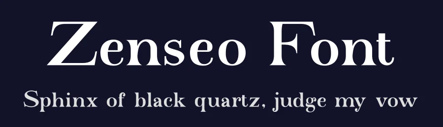 Zenseo Font by Basnistudio — Serif Font — thumbnail 2