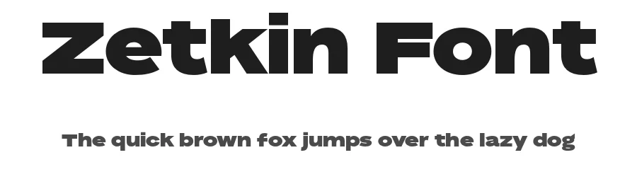 Zetkin Font by Inga PlΓΆnnigs β Sans Serif Font
