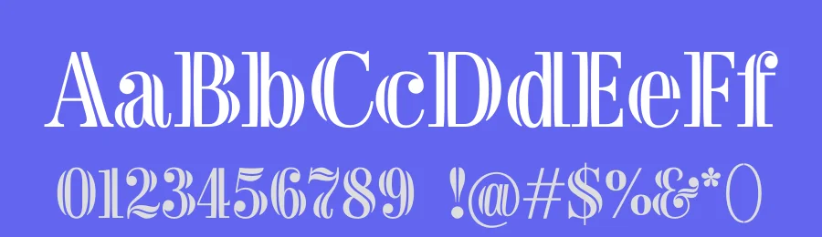 Zina Font by Indian Type Foundry — Display Font — thumbnail 3