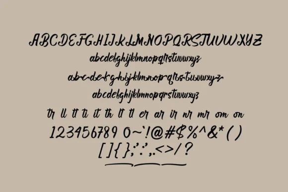 Bhanira Font by GFRcreative — Script Handwritten Font — thumbnail 4