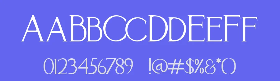 Bhineka by StringLabs Creative Studio — Serif Font — thumbnail 3