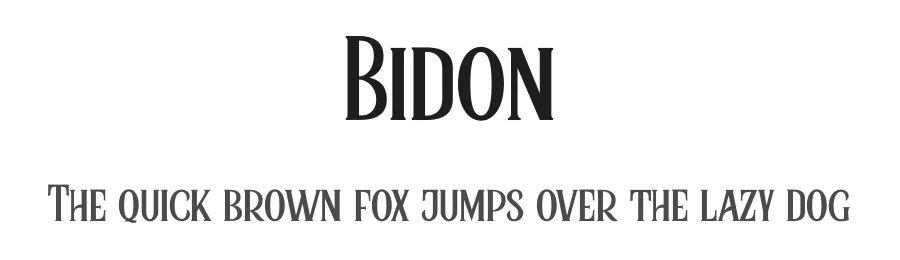 Bidon