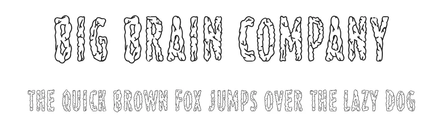 Big Brain Company