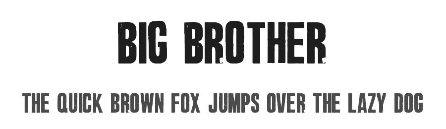 Big Brother