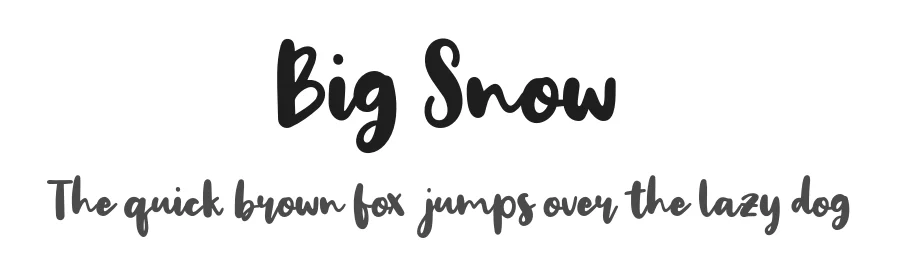 Big Snow