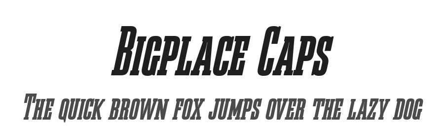 Bigplace Caps