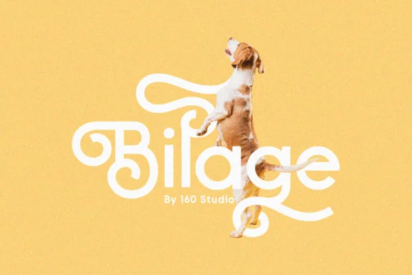 Bilage Font by 160 Studio — Script Handwritten Font