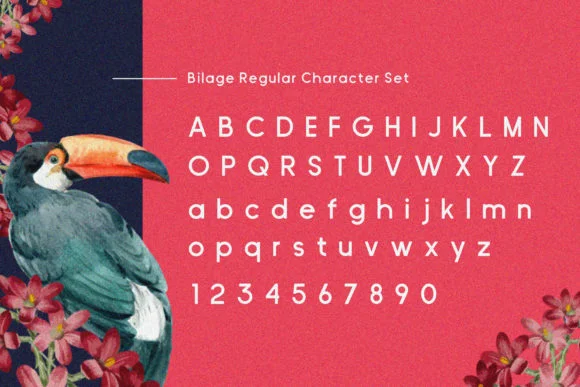 Bilage Font by 160 Studio — Script Handwritten Font — thumbnail 6
